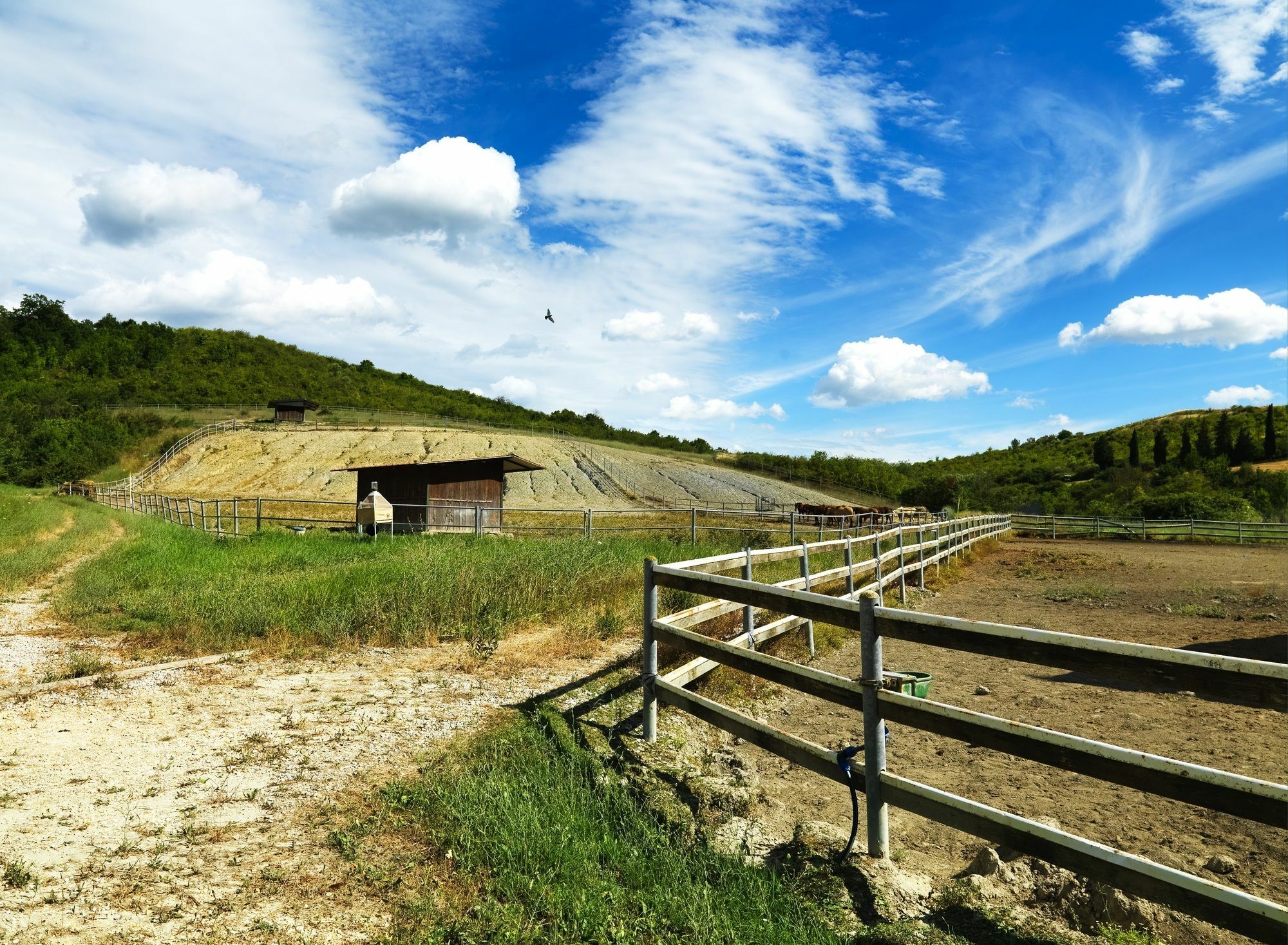 Appartamenti Agriturismo La Canonica เชร์ตาลโด ภายนอก รูปภาพ